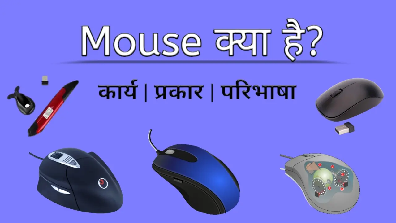 Mouse kya hai hindi